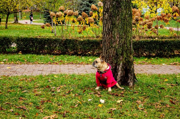 Rhinoplastie : astuces pour un nez parfait à petit prix